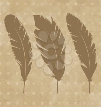 Illustration set vintage feathers on grunge background - vector