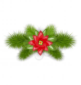 Illustration Christmas composition with fir twigs and flower poinsettia, isolated on white background - vector