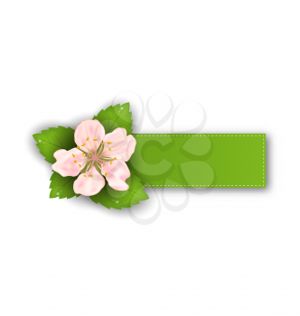 Illustration Special Offer Sticker with Flower, Isolated on White Background - Vector