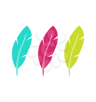 Illustration Set Colorful Feathers Isolated on White Background - Vector