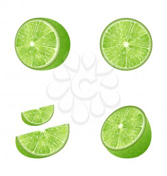 Illustration Set of Fruit Lime Isolated on White Background - Vector 