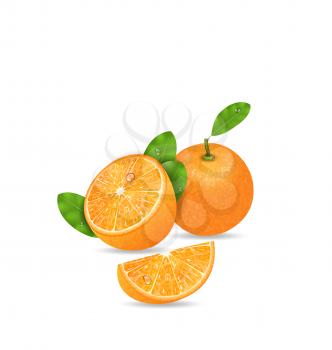 Illustration Set Orange Fruits, Cut and Slices, Ripe Citrus - Vector