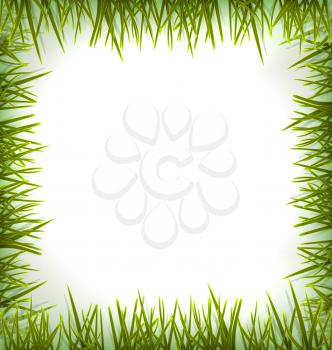 Realistic green grass like frame isolated on white, floral eco nature background - vector