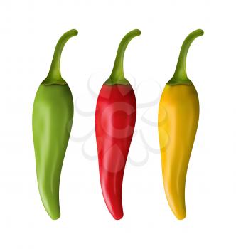 Illustration Set of Colorful Chili Peppers Isolated on White Background - Vector