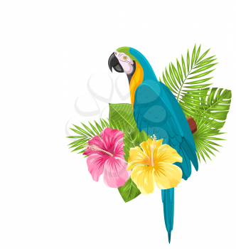 Illustration Parrot Ara, Colorful Exotic Flowers Blossom and Tropical Leaves, Isolated on White Background - Vector