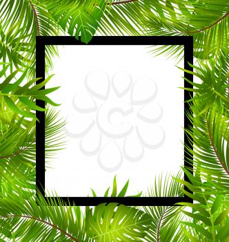 Illustration Beautiful Border with Tropical Palm Leaves, Summer Frame - Vector