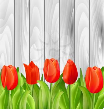 Illustration Beautiful Tulips Flowers on Wooden Background - Vector