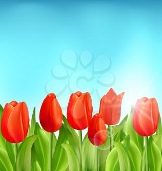Illustration Nature Floral Background with Tulips Flowers and Blue Sky, Springtime, Summertime, Environment, Beautiful Landscape - Vector