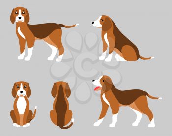 Various Poses of Dog Beagle, Simple Flat Style - Illustration Vector