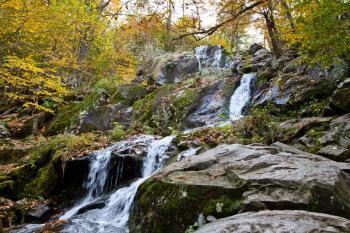 Royalty Free Photo of a Small Waterfall in the Forest
