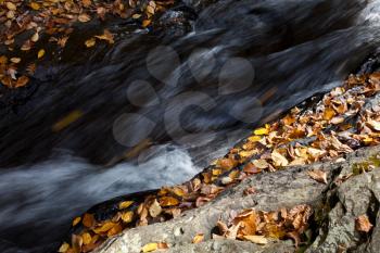Royalty Free Photo of a Forest Creek in Autumn