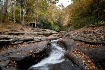 Royalty Free Photo of a Forest Stream in Autumn