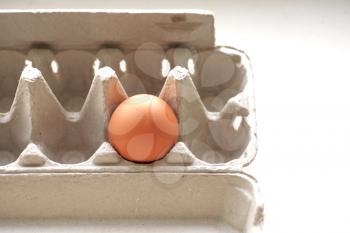 One brown egg in packing for eggs