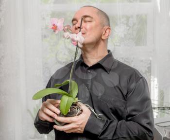 40s man is smelling a pink blooming orchid indoors. Handsome caucasian 40s man smiling portrait on grey background with black shirt holding orchid in pot.