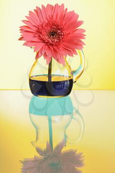 Royalty Free Photo of a Pink Gerbera in a Vase