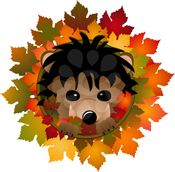 Royalty Free Clipart Image of a Hedgehog Peeking Out From a Hole of Leaves