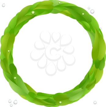 Royalty Free Clipart Image of a Border of Vibrant Green Leaves and Water Droplets