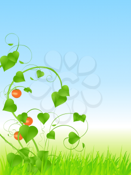 Royalty Free Clipart Image of a Tomato Vine in the Grass