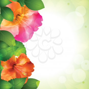 hibiscus flowers and lush green leaves with glowing circles