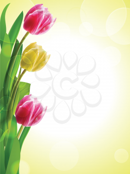 pink and yellow tulips on a glowing yellow background