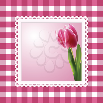 tulip background in a white frame on a pink gingham check background