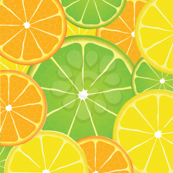 Citrus fruit slice background