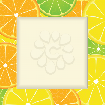 Citrus fruit frame background