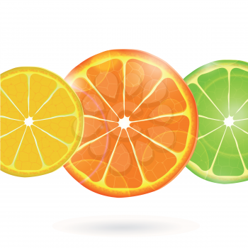 Orange, lemon and lime slices with lens flares