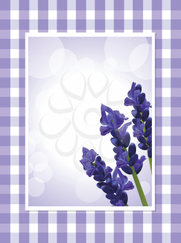 Lavender on a white card on lavender coloured gingham