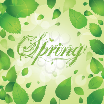 Decorative 'Spring' typographical background with lush green leaves