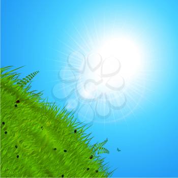 Spring Background with Sunshine Reflecting Over Green Hill and Blue Sky