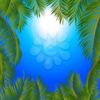 Tropical Palm Trees Frame Surrounding a blue Sunny Sky 