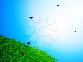Spring Sunny Sky Background with Green Grass Flowers and Birds
