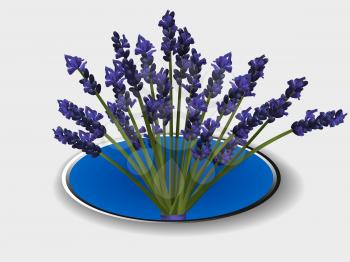 3D Illustration of a Bunch of Lavender in a Metallic Blue Border with Shadow