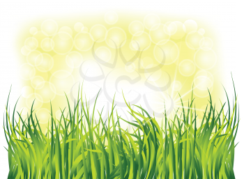 Royalty Free Clipart Image of Green Grass With Sunlight Behind