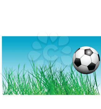 Royalty Free Clipart Image of a Soccer Ball and Grass