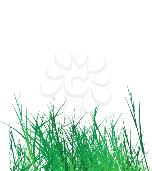 Royalty Free Clipart Image of Grass