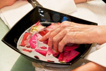 Royalty Free Photo of a Woman's Hands Preparing for a Manicure With a Bowl of Petals and Water