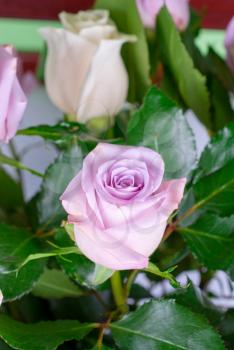 Royalty Free Photo of a Bouquet of Pink Roses