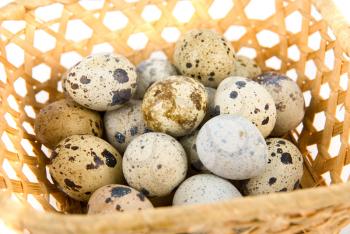 Royalty Free Photo of Quail Eggs in a Basket