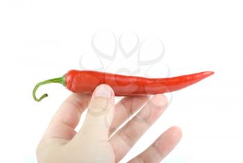 Royalty Free Photo of Someone Holding a Chili Pepper
