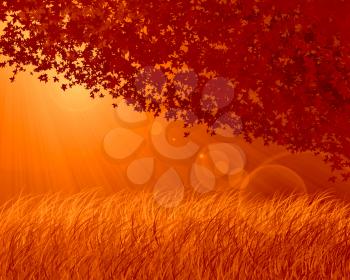 Abstract forest background, autumn theme