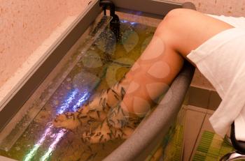 Fish spa pedicure wellness skin care treatment