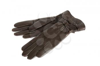 brown modern female leather gloves isolated on a white