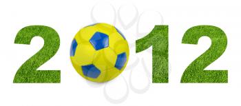 football 2012 championship from green grass texture