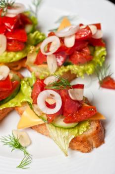 Toast with vegetables, cheese, tomato, pepper, onion, cucumber and garlic