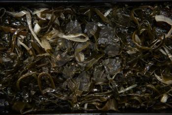 Chuka wakame laminaria seaweed salad with fish in plastic bowles. Concept of healthy food production or delivery food
