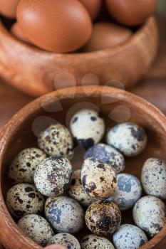 Fresh chicken eggs and quail eggs at wooden plate closeup