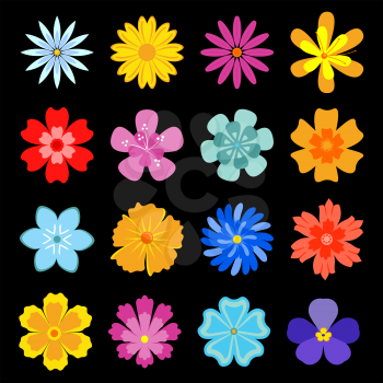 Set of flower blossoms for design and decoration