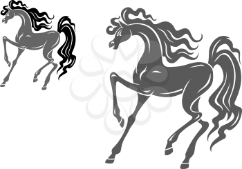 Silhouette of grey horse for equestrian design